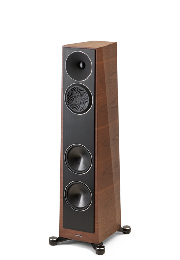Paradigm Founder Series