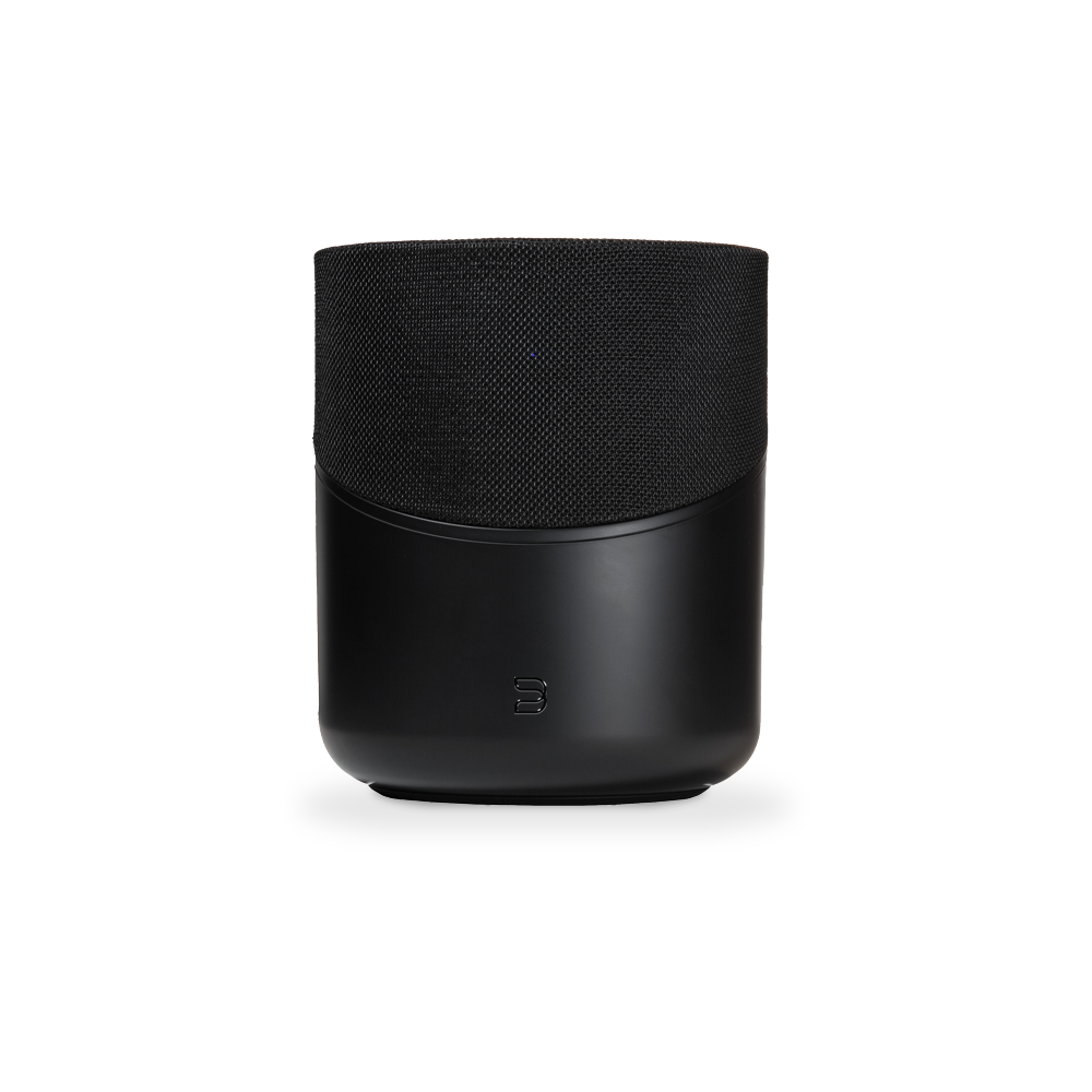 Bluesound Pulse M